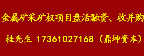 全国民营BB贝博艾弗森官方网站项目融资政策